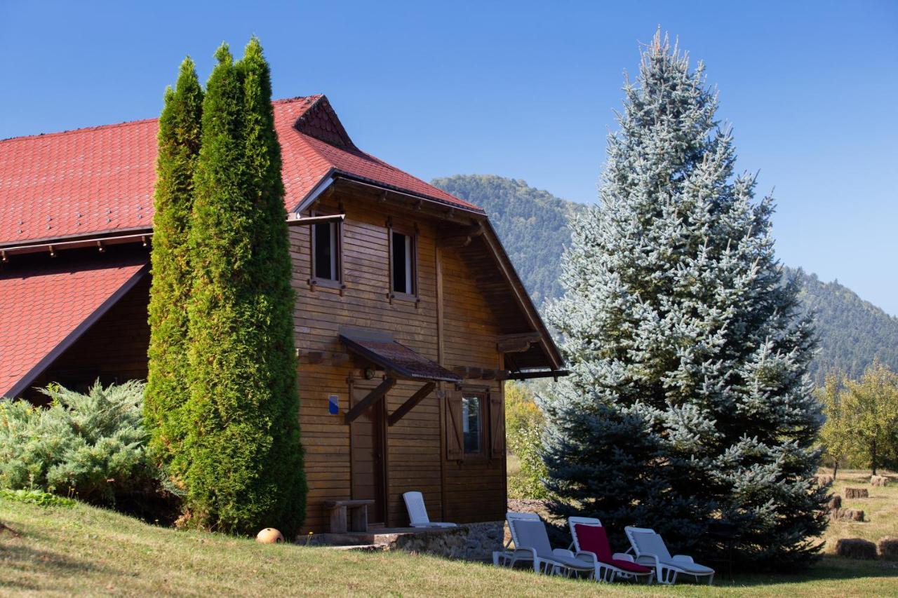 Woodenhouse With Two Apartments โอโทชาส ภายนอก รูปภาพ