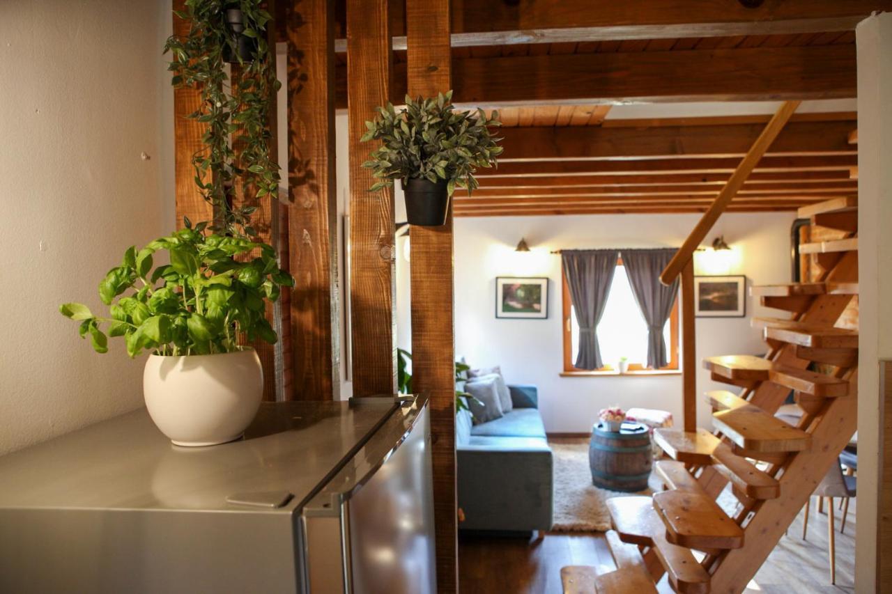 Woodenhouse With Two Apartments โอโทชาส ภายนอก รูปภาพ